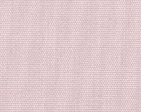 Petal Pink